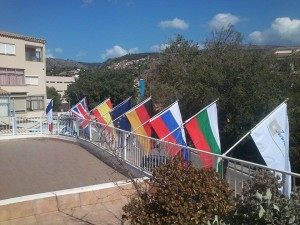 flags