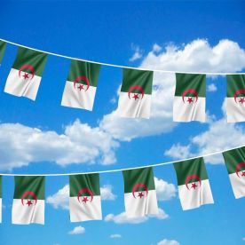 Algeria Bunting 