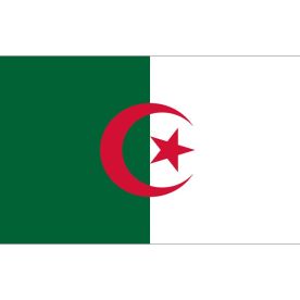 Algeria Flag 8Ft X 5Ft