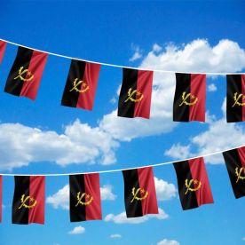 Angola Bunting 