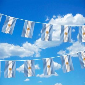 Argentina Bunting 