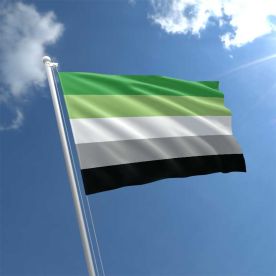 Aromantic Flag