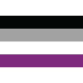 Asexual Flag 8ft x 5ft