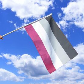 Asexual Hand Flag