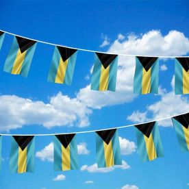 Bahamas Bunting 