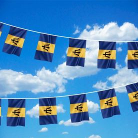 Barbados Bunting 