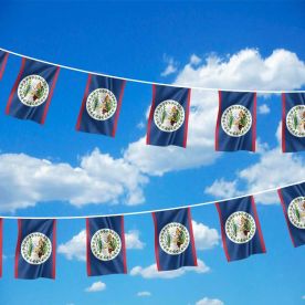 Belize Bunting 