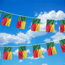 Benin Bunting 