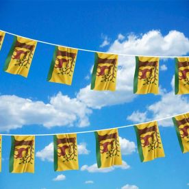 Berkshire Flag Bunting