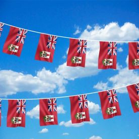 Bermuda Bunting 