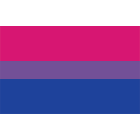 Bi Pride Flag 8ft x 5ft