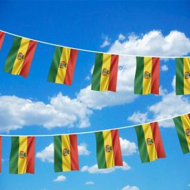 Bolivia Bunting