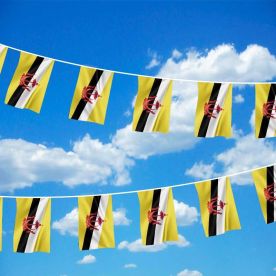 Brunei Bunting 