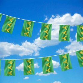 Caernarfonshire Flag Bunting