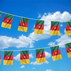 Cameroon Bunting