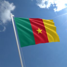 Cameroon Flag
