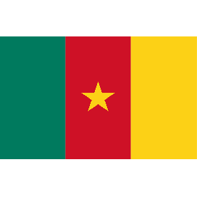 Cameroon Flag 8Ft X 5Ft