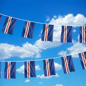 Cape Verde Bunting 