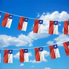 Chile Bunting