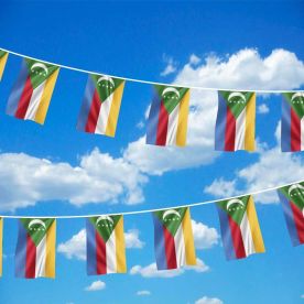 Comoros Bunting 