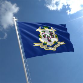 Connecticut Flag