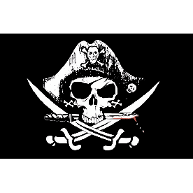 Crossed Sabres Flag