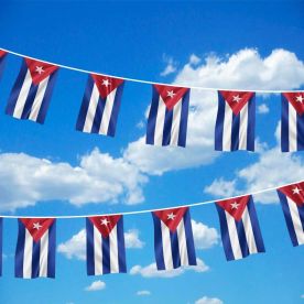 Cuba Bunting 