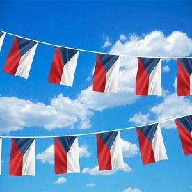 Czech Republic Bunting 