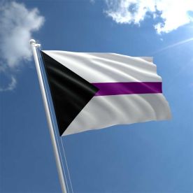 Demisexual Flag