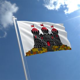 Edinburgh Flag