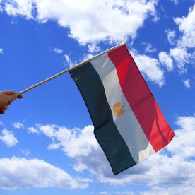 Egypt Hand Waving Flag