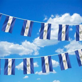 El Salvador Bunting 