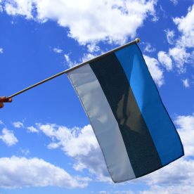 Estonia Hand Waving Flag