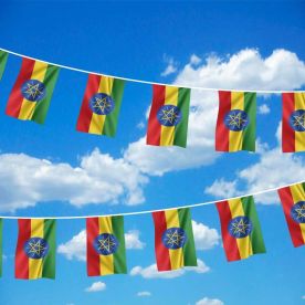 Ethiopia Bunting 
