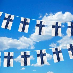 Finland Bunting 