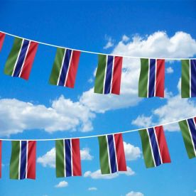 Gambia Bunting 