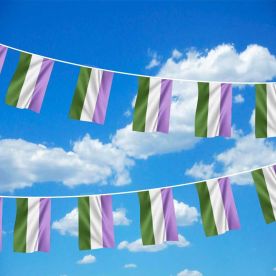 Genderqueer Bunting 6m