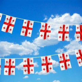 Georgia Bunting 