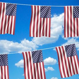United States Bunting