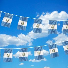 Guatemala Bunting