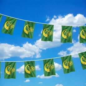 Huntingdonshire Flag Bunting