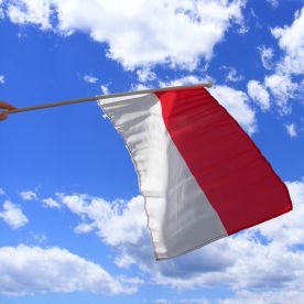 Indonesia Hand Waving Flag