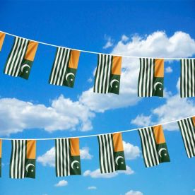 Kashmir Bunting