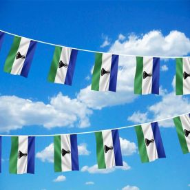 Lesotho Bunting 