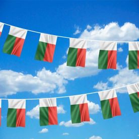 Madagascar Bunting 