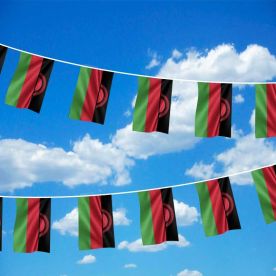 Malawi Bunting