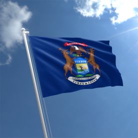Michigan Flag