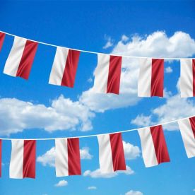 Monaco Bunting 