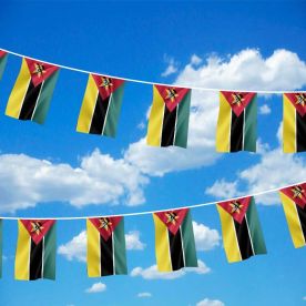 Mozambique Bunting