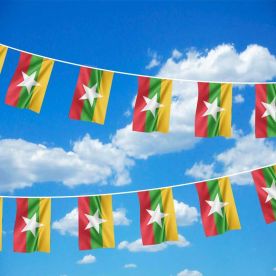Myanmar Bunting 